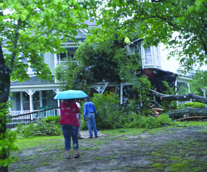 Sunday Storm Downs Trees on Two Isabella Street Homes